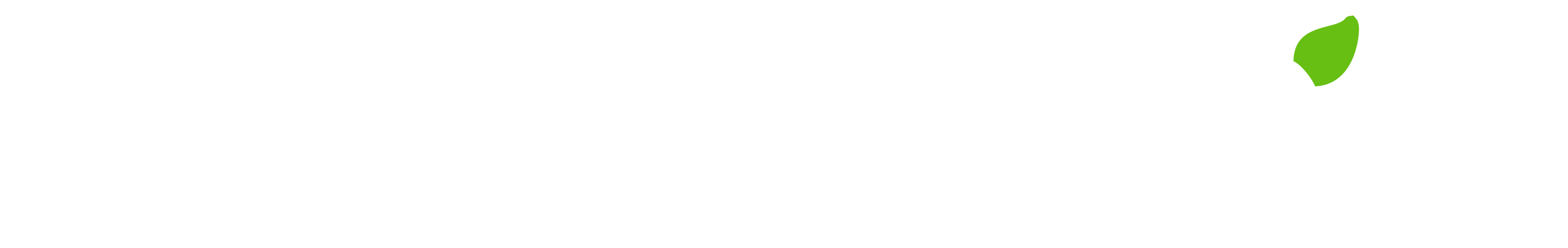 WNutrition-Logo-White-GreenSolidLeaf